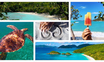 What To Do In St. John, U.S.V.I