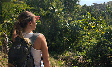 A St. John Love Affair; Down the Reef Bay Trail