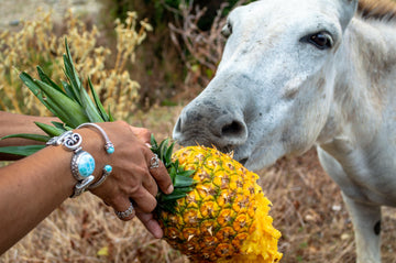 Larimar - The Caribbean Gem