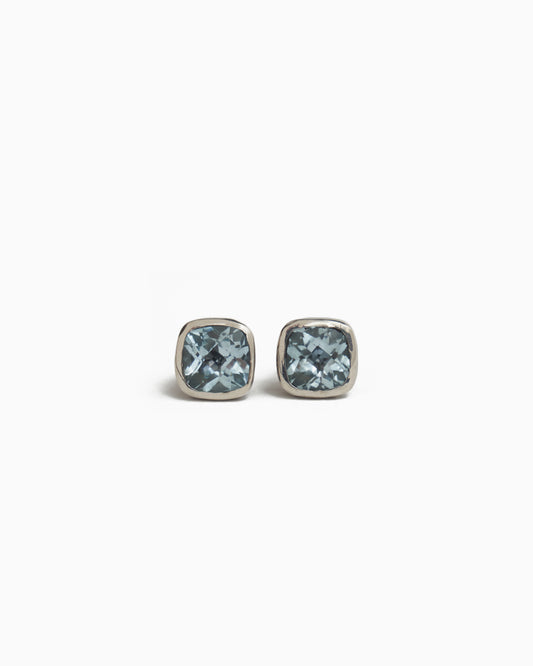 Square Stone Studs with Turtle Texture - Blue Topaz