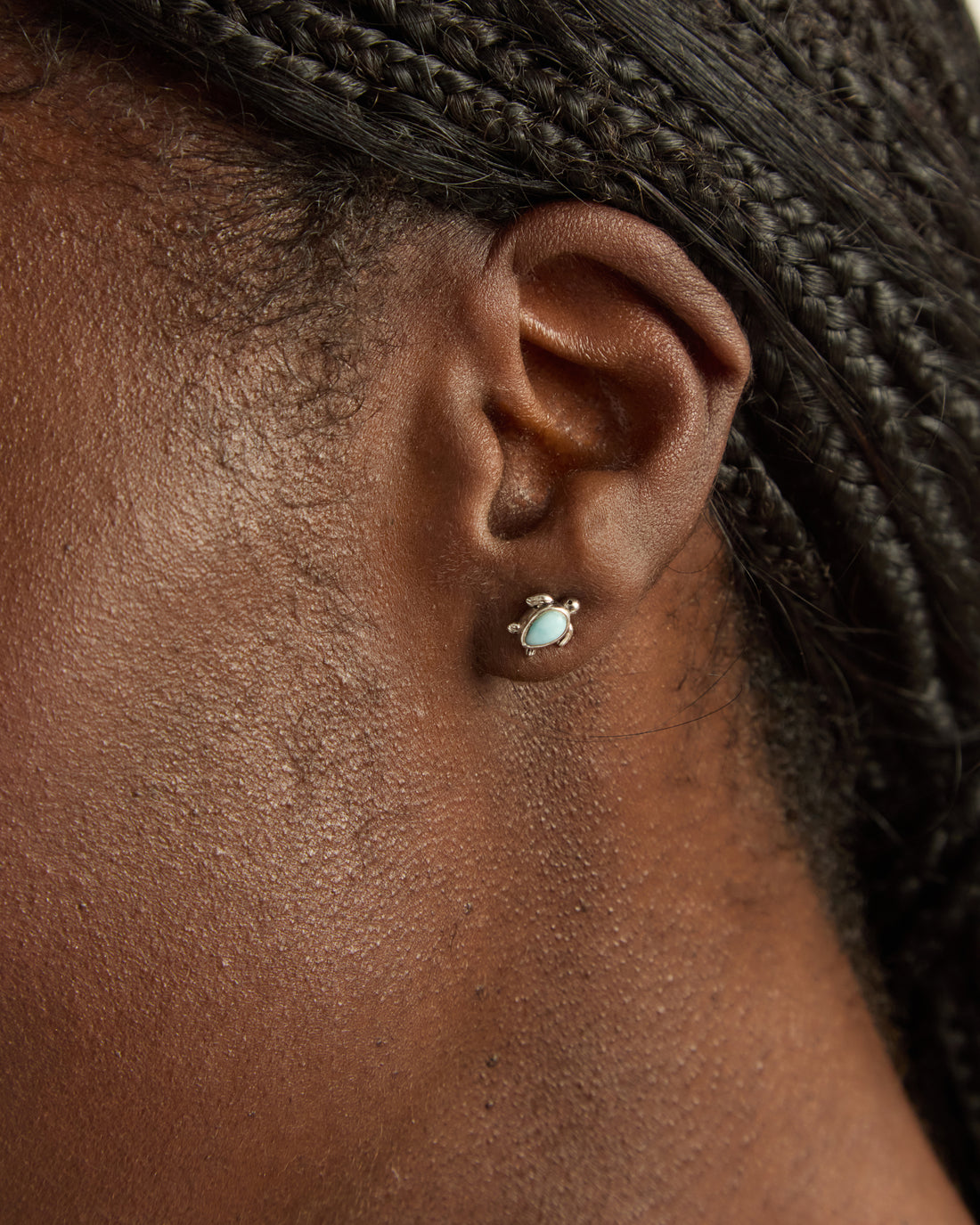 Larimar Sea Turtle Studs