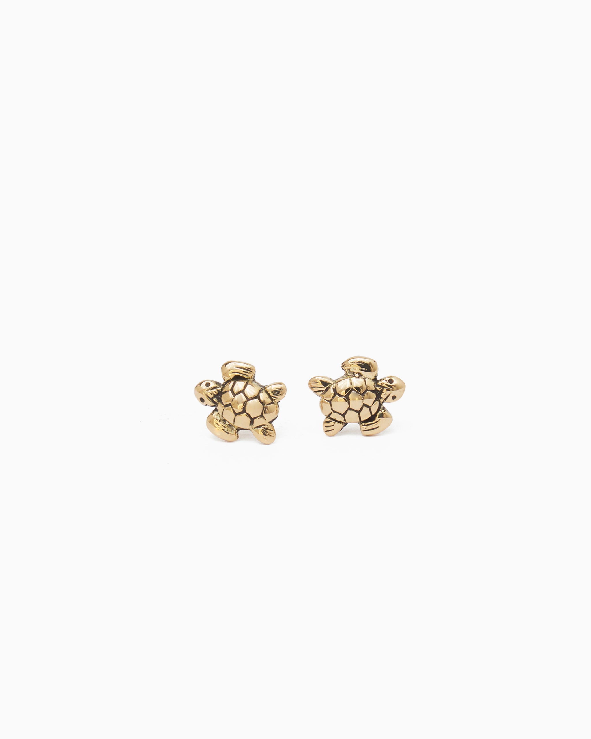 14K Gold Sea Turtle Studs - Vibe Jewelry