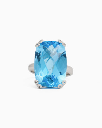 Statement Stone Ring in Petroglyph Setting - Hampton Blue Topaz