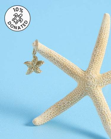 The Sea Critters Collection