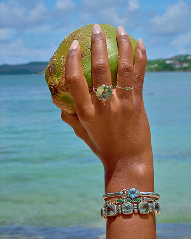 The Endless Summer Collection