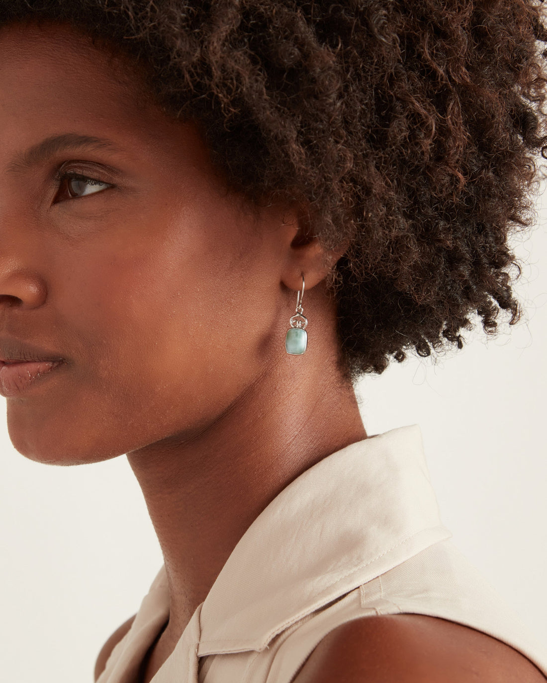 Petroglyph & Elongated Stone Drop Earrings - Larimar