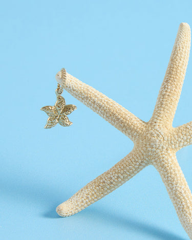 The Sea Critter Collection