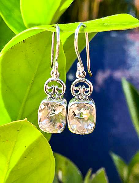 Coral Bay Earrings Earrings